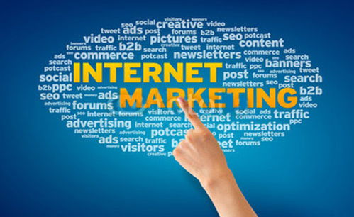 网络营销技巧与品牌推广之道 策略、技术与实践